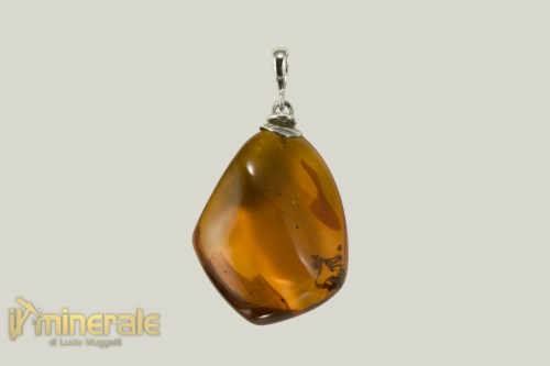 C10-24AG4900-2_gioielli_argento_ciondoli_charms_pietre_dure_semipreziose_ambra_naturale_santodomingo_insetto