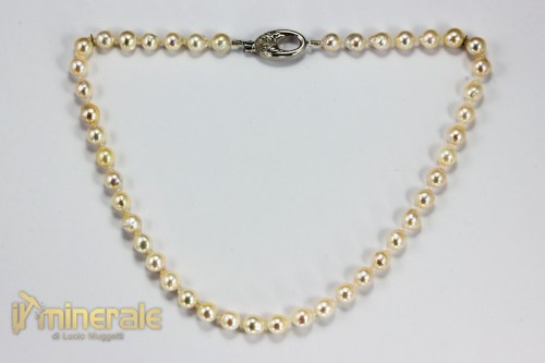 CL5-23Ns33500-2_gioielli_oro_collane_perle_coltivate.logo