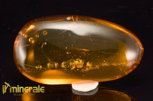 FS946-1_fossili_collezione_ambra_santodomingo_acqua_ditteri