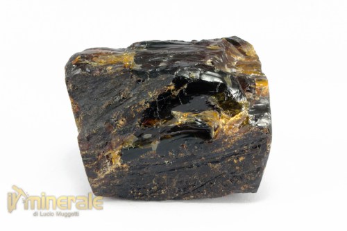 FS972-3_fossili_collezione_vegetali_ambra_naturale_indonesia.logo