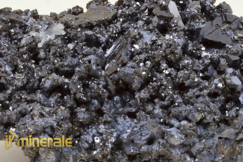 MN014-3_minerali_collezione_galena.logo