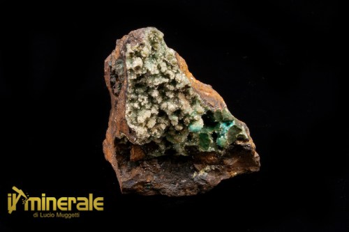MN064-1_minerali_collezione_quarzo_crisocolla_messico.logo