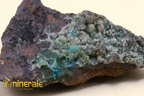 MN064-3_minerali_collezione_quarzo_crisocolla_messico.logo