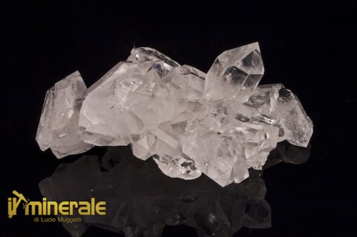 MN078-1_minerali_collezione_quarzo_ialino_arkansas.logo