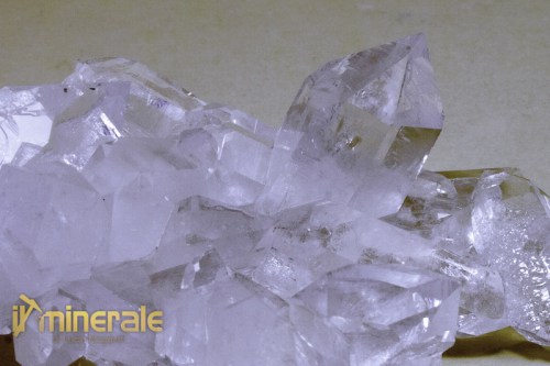 MN078-3_minerali_collezione_quarzo_ialino_arkansas.logo