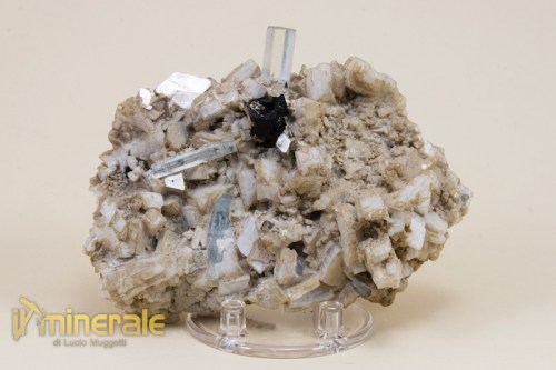 MN097-2_minerali_collezione_acquamarina_brasile.logo