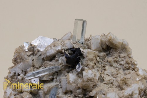 MN097-3_minerali_collezione_acquamarina_brasile.logo