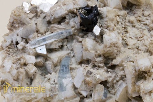 MN097-4_minerali_collezione_acquamarina_brasile.logo