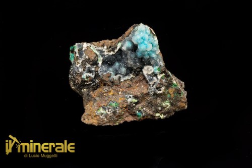 MN1137-1_minerali_collezione_quarzo_crisocolla_collection_minerals_chrysocolla.logo