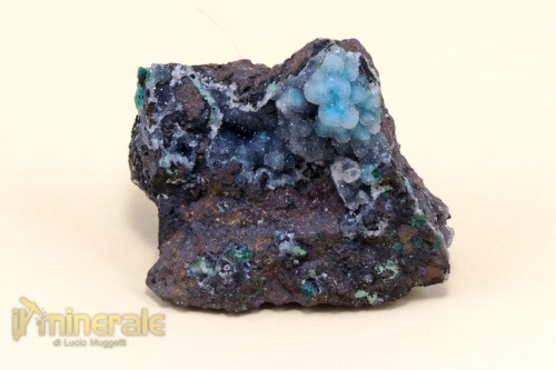 MN1137-2_minerali_collezione_quarzo_crisocolla_collection_minerals_chrysocolla.logo