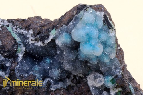 MN1137-3_minerali_collezione_quarzo_crisocolla_collection_minerals_chrysocolla.logo