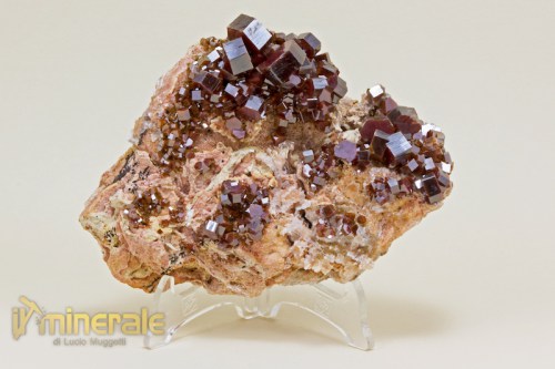 MN1211-2_minerali_collezione_vanadinite_marocco_collection_minerals_morocco.logo