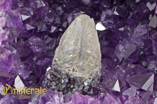 MN1289-4_minerali_collezione_arredamento_quarzo_ametista_calcite_collection-minerals.logo