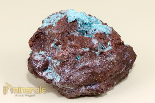 MN1358-2_minerali_collezione_auricalcite_collection_minerals.logo5