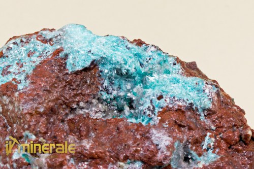 MN1358-3_minerali_collezione_auricalcite_collection_minerals.logo
