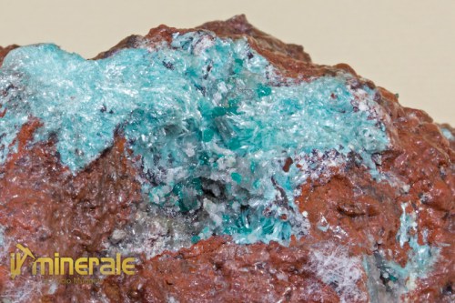 MN1358-4_minerali_collezione_auricalcite_collection_minerals.logo