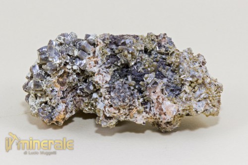 MN1361-2_minerali_collezione_piromorfite_collection_minerals.logo