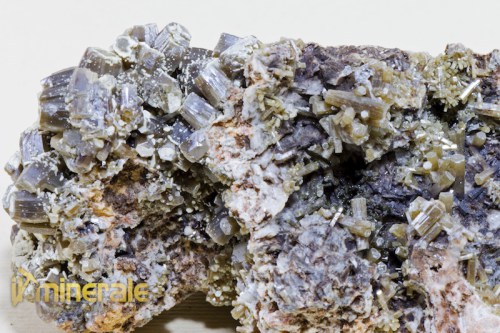 MN1361-3_minerali_collezione_piromorfite_collection_minerals.logo