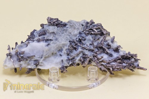 MN1399-2_minerali_collezione_argentite_acantite_collection_minerals.logo