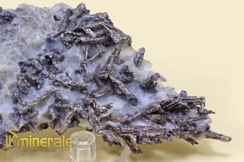 MN1399-3_minerali_collezione_argentite_acantite_collection_minerals.logo