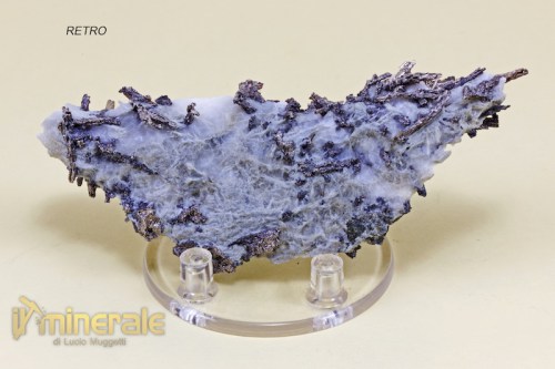 MN1399-4_minerali_collezione_argentite_acantite_collection_minerals.logo