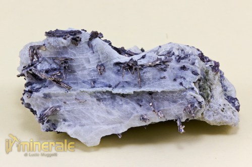 MN1400-2_minerali_collezione_argentite_acantite_collection_minerals.logo