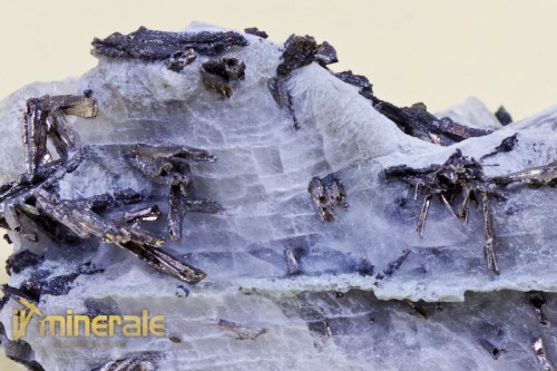 MN1400-3_minerali_collezione_argentite_acantite_collection_minerals.logo