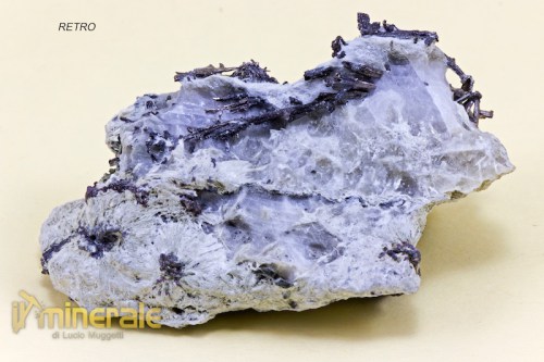 MN1400-4_minerali_collezione_argentite_acantite_collection_minerals.logo