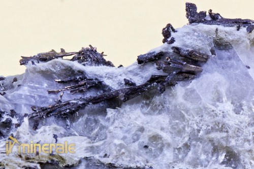 MN1400-5_minerali_collezione_argentite_acantite_collection_minerals.logo