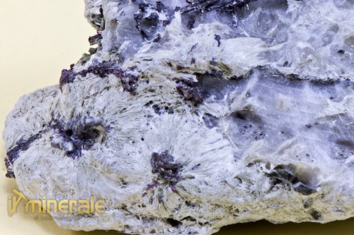MN1400-6_minerali_collezione_argentite_acantite_collection_minerals.logo