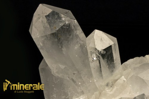 MN1430-2_Minerali_collezione_silicati_quarzo_ialino_arkansas_collection_minerals_quartz.logo