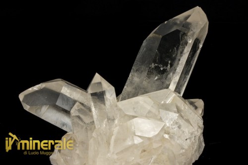 MN1431-2_Minerali_collezione_silicati_quarzo_ialino_arkansas_collection_minerals_quartz.logo