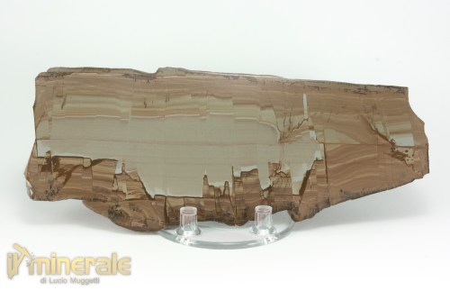 MN1497-2_minerali_collezione_arredamento_pietrer_lucidate_paesina