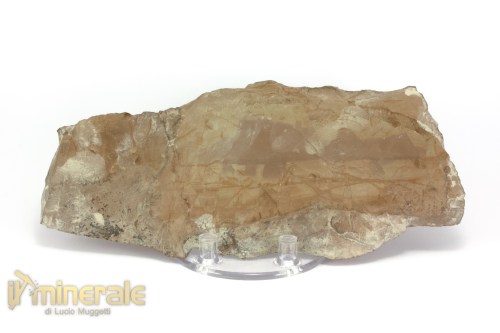 MN1497-3_minerali_collezione_arredamento_pietrer_lucidate_paesina