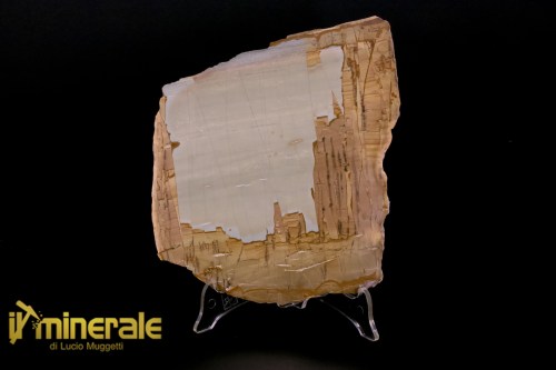 MN1498-1_minerali_collezione_arredamento_pietrer_lucidate_paesina