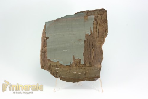 MN1498-2_minerali_collezione_arredamento_pietrer_lucidate_paesina