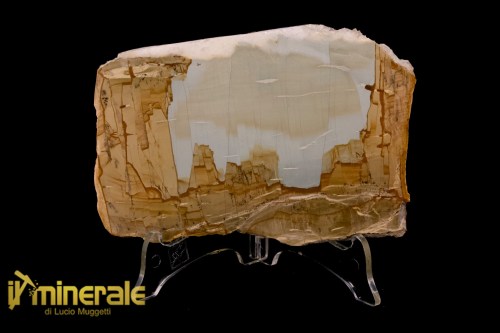 MN1499-1_minerali_collezione_arredamento_pietrer_lucidate_paesina