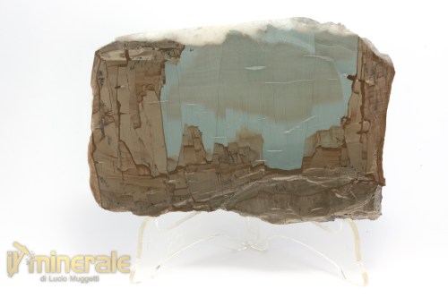 MN1499-2_minerali_collezione_arredamento_pietrer_lucidate_paesina