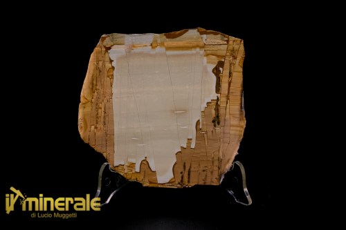 MN1500-1_minerali_collezione_arredamento_pietrer_lucidate_paesina