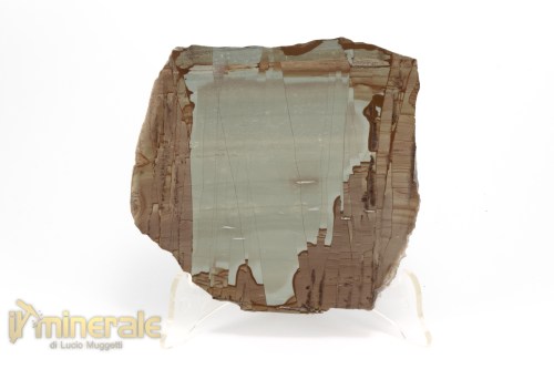 MN1500-2_minerali_collezione_arredamento_pietrer_lucidate_paesina