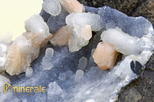 MN1502-3_minerali_collezione_apofillite_stilbite_india_collection_minerals.logo
