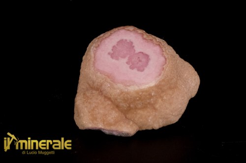 MN1509-1_minerali_collezione_arredamento_pietrer_lucidate_rodocrosite