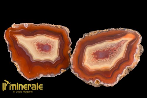 MN1510-1_minerali_collezione_arredamento_pietrer_lucidate_agata-corniola