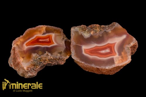 MN1511-1_minerali_collezione_arredamento_pietrer_lucidate_agata-corniola