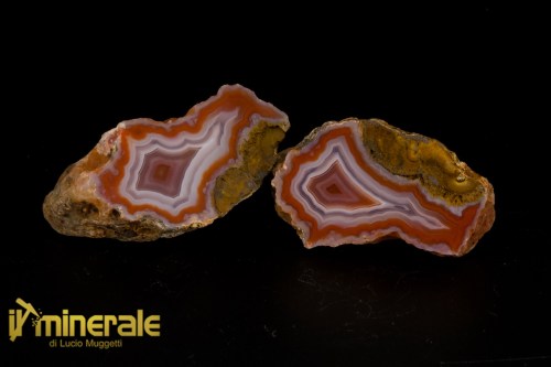 MN1514-1_minerali_collezione_arredamento_pietrer_lucidate_agata-corniola