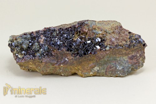 MN1522-2_minerali_collezione_granati_grossularia_essonite_collection_mineral_garnet.logo