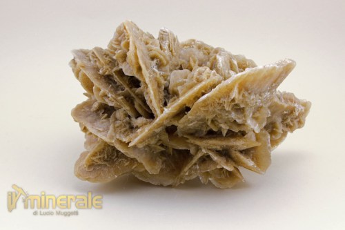 MN1556-3_minerali_collezione_arredamento_rosa_deserto.logo