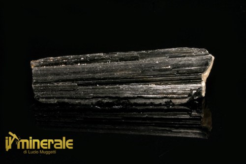 MN156_minerali_collezione_cristalloterapia_tormalina_nera_bacchetta.logo