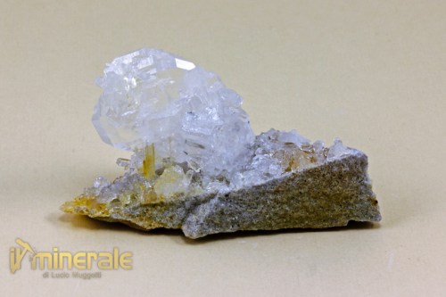 MN1585-3_minerali_collezione_cristalloterapia_silicati_quarzo_ialino_pakistan.logo