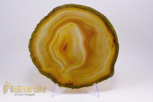 MN1611-2_minerali_collezione_arredamento_pietre_tagliate_agata-brasile.logo